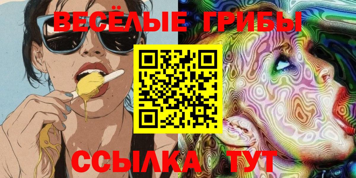 Псилоцибиновые грибы Psilocybine cubensis Ессентуки